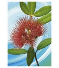 Pohutukawa Flower: Card