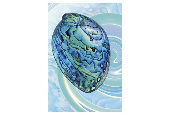 Paua Shell: Card