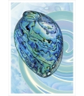 Paua Shell: Card