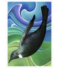 Tui in Flight: Card