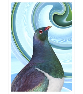 Kereru Portrait: Card