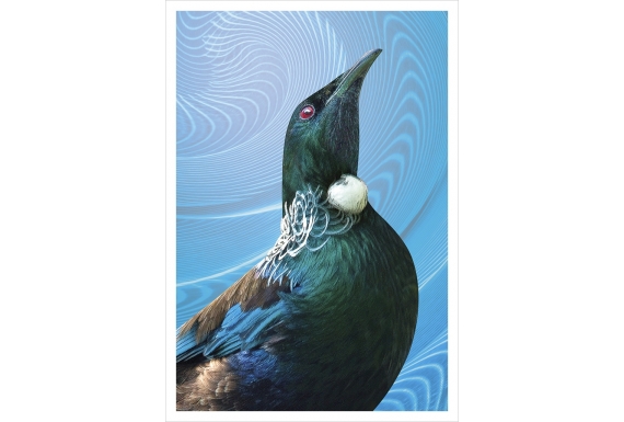 Tui Portrait: Card