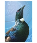 Tui Portrait: Card