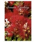 Pohutukawa (Seasons Greetings): Card