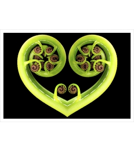 Koru Heart: Card