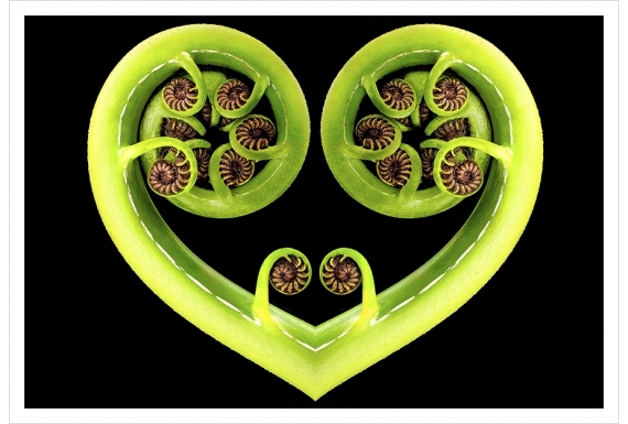 Koru Heart: Card