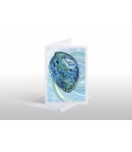 Paua Shell: Card