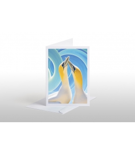 Gannet Couple: Card