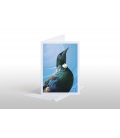 Tui Portrait: Card