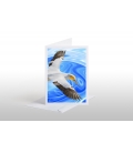 Soaring Gannet: Card