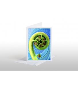 Koru: Card