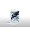 Wading Pukeko: Card