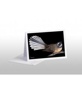 Fantail: Card