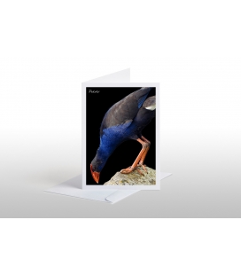 Pukeko: Card