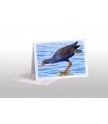 Pukeko on Rock: Card