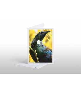 Tui among Kowhai Blossoms: Card