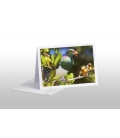 Kereru in Karaka tree with berry: Card