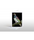 Kereru on Kowhai branch: Card