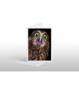 Screeching Ruru (Morepork): Card