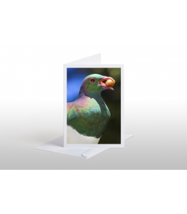 Kereru and Karaka berry: Card