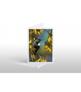 Tui in Kowhai, Point Wells: Card