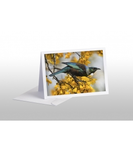 Tui and Spring Kowhai: Card