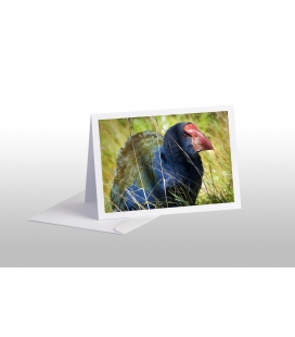 The Takahe: Card