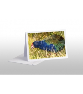 Grazing Takahe: Card