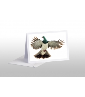 Kereru, Caught in Flight: Card