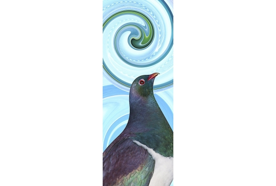 Kereru Portrait