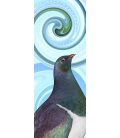 Kereru Portrait