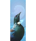 Tui Portrait