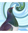 Kereru Portrait