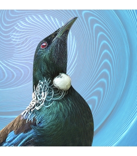 Tui Portrait