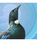 Tui Portrait