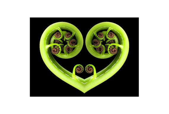 Koru Heart