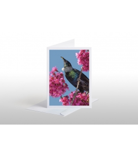 Tui in Cherry Blossom: Card