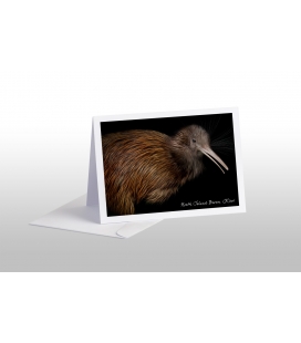 North Island Brown Kiwi: Card