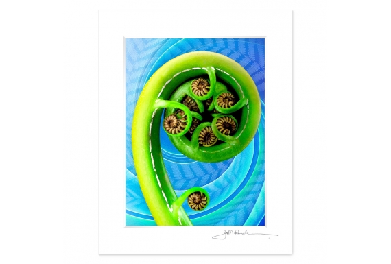 Koru: 6x8 Matted Print