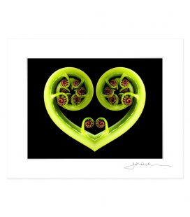 Koru Heart: 6x8 Matted Print