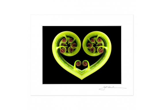 Koru Heart: 6x8 Matted Print