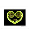 Koru Heart: 6x8 Matted Print