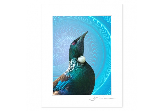 NZ Iconography, Tui Portrait: 6x8 Matted Print