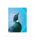 NZ Iconography, Tui Portrait: 6x8 Matted Print