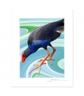 NZ Iconography, Wading Pukeko: 6x8 Matted Print