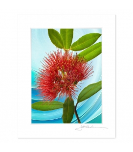 NZ Iconography, Pohutukawa Flower: 6x8 Matted Print