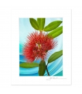 NZ Iconography, Pohutukawa Flower: 6x8 Matted Print