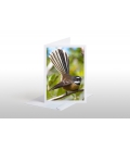 Perching Fantail: Card