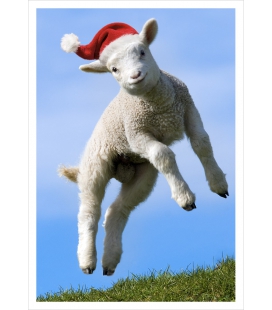 Leaping Lamb: Card