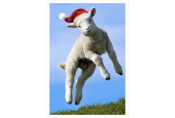 Leaping Lamb: Card